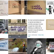 Récolte d'images au 31/05