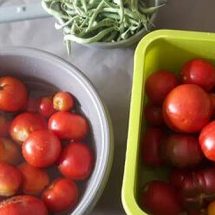 Les tomates et ta vie…