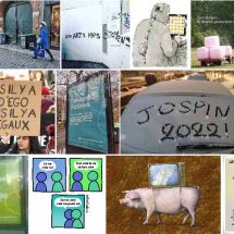 Z&rsquo;images au 23/01/22