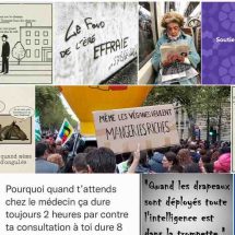 Les z&rsquo;images au 04/11/22