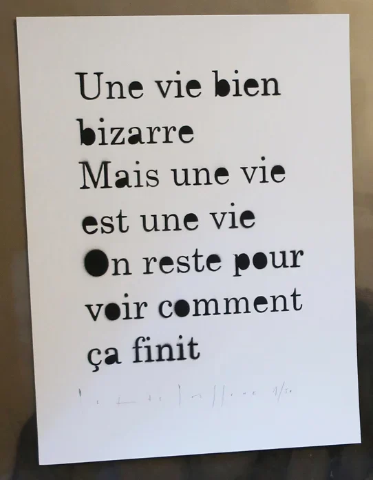 viebizarre_rogne